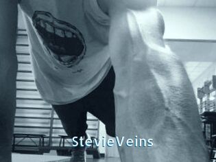 StevieVeins