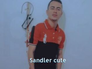 Sandler_cute