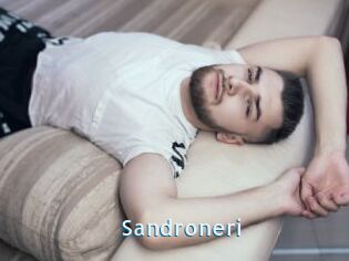 Sandroneri