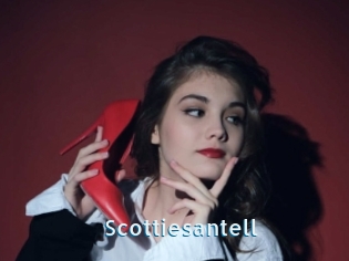 Scottiesantell