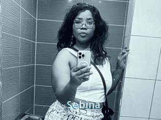 Sebina