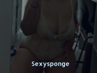 Sexysponge