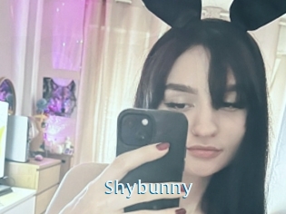 Shybunny