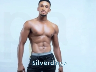 Silverdingo