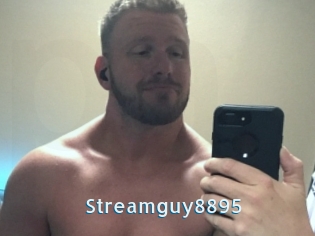 Streamguy8895