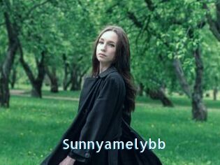 Sunnyamelybb