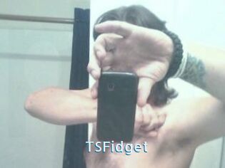 TSFidget