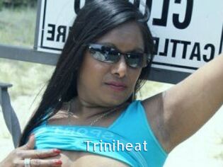 Triniheat