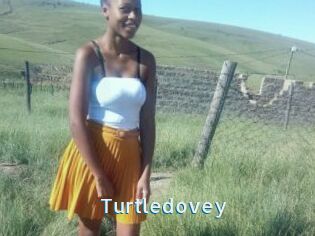 Turtledovey