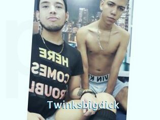 Twinksbigdick