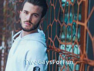 TwoGaysForFun