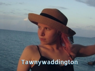 Tawnywaddington