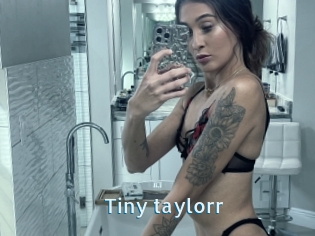 Tiny_taylorr