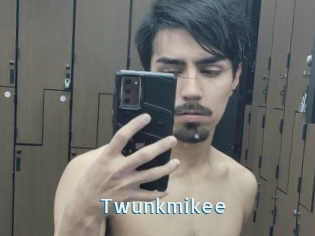 Twunkmikee