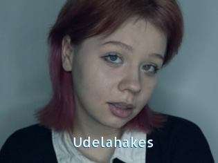 Udelahakes