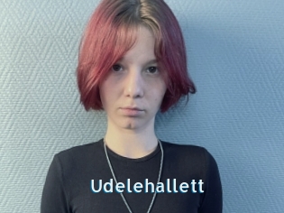 Udelehallett