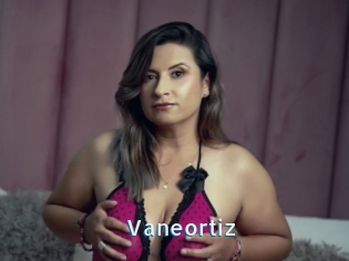 Vaneortiz