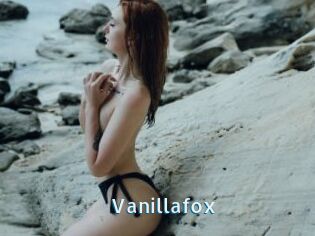 Vanillafox