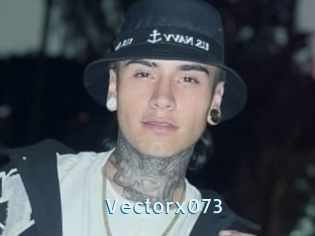 Vectorx073
