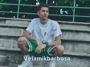 Velamikbarbosa