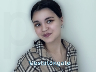 Vestatongate