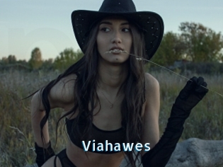 Viahawes
