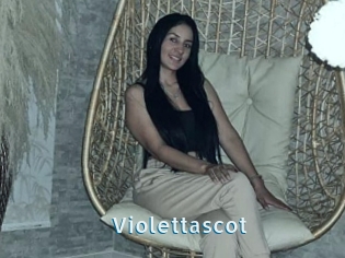 Violettascot