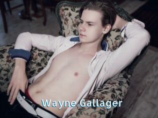 Wayne_Gallager