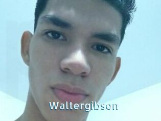 Waltergibson