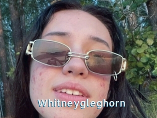 Whitneygleghorn