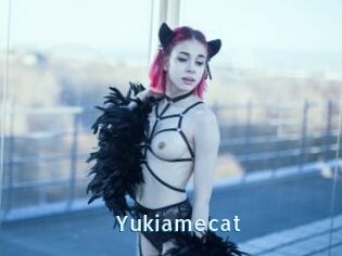 Yukiamecat