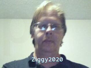 Ziggy2020