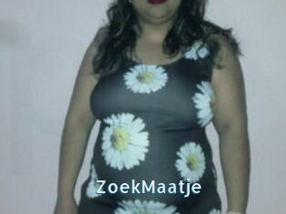 ZoekMaatje