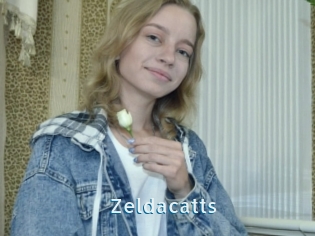 Zeldacatts